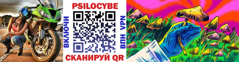 Галлюциногенные грибы Psilocybine cubensis  где можно купить   Североморск 