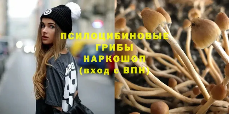 Псилоцибиновые грибы Psilocybine cubensis  где найти   Североморск 