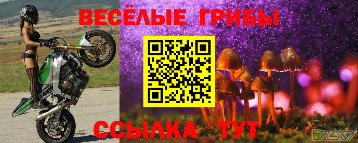наркота  Псилоцибиновые грибы прущие грибы  Североморск  Галлюциногенные грибы MAGIC MUSHROOMS 