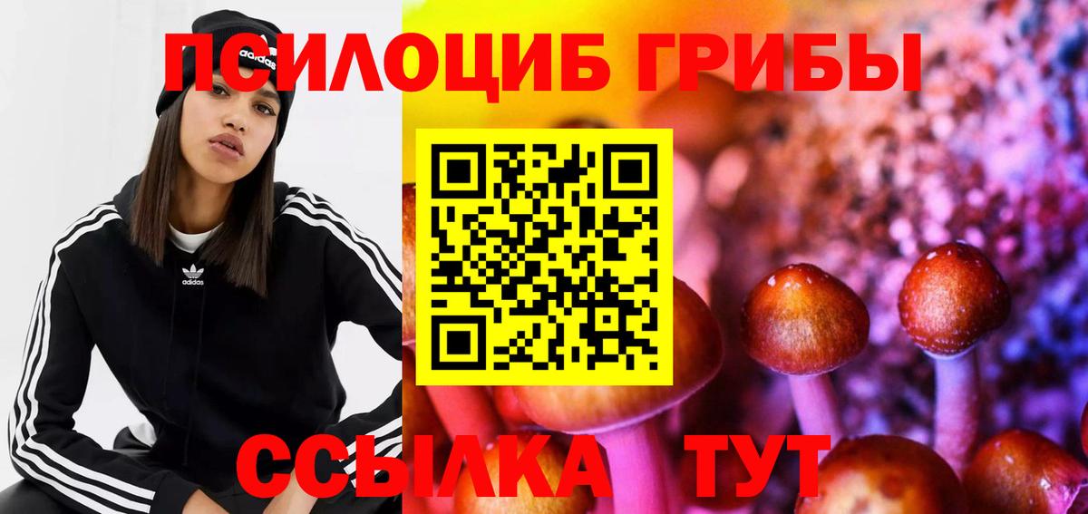 Галлюциногенные грибы Magic Shrooms Североморск