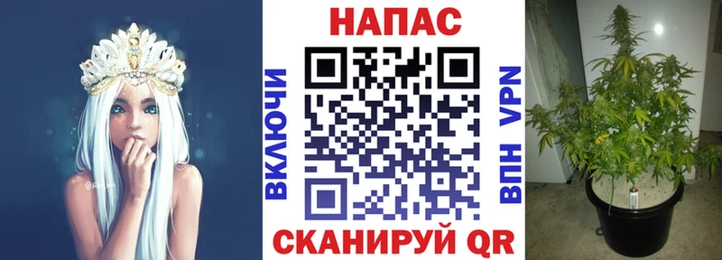 Бошки Шишки THC 21%  закладка  Североморск 
